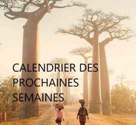 Calendrier novembre-décembre